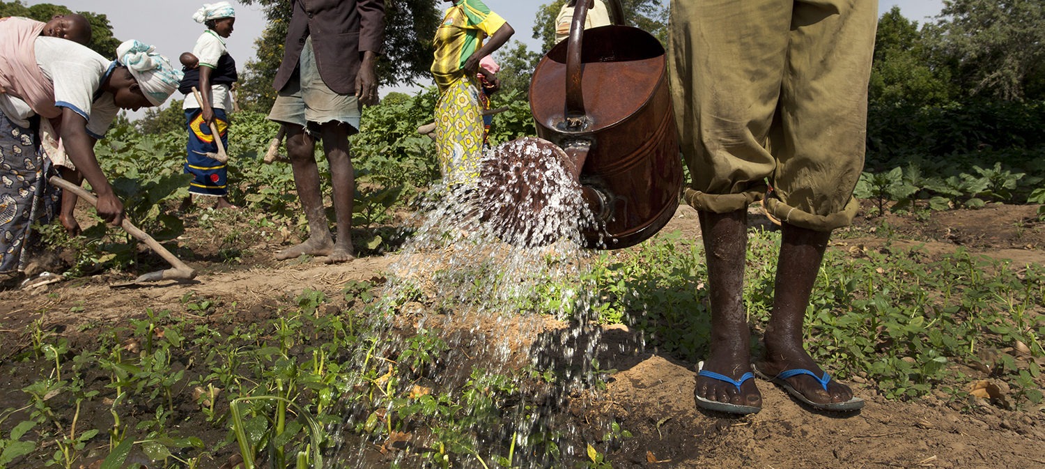 Carte projet Proparco ©Dominique Chavez